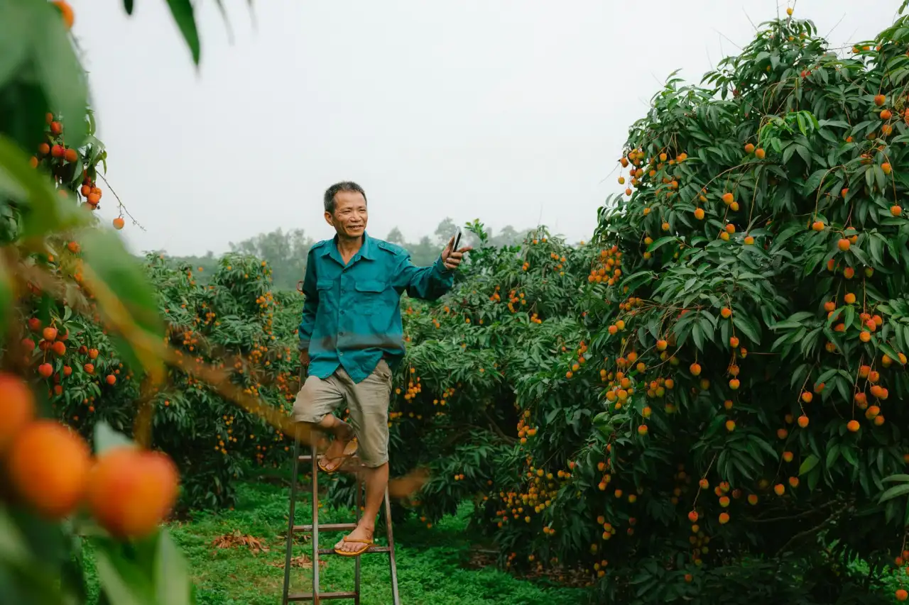 融汇宝支付系统与银行直连模式的技术架构对比解析