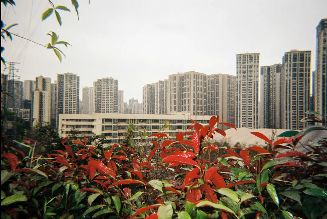 融汇宝支付系统与主流资金管理平台的集成方案比较